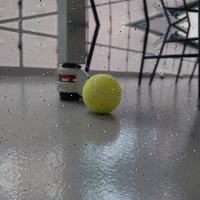 Dataset Image