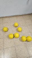 Ball_detecation_ai project thumbnail