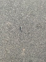 Debris Detection project thumbnail