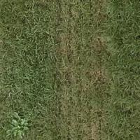 weed project thumbnail