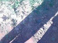 grass project thumbnail