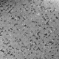 Si_tip_classification project thumbnail