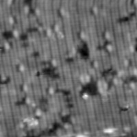 Si100_adsorp project thumbnail