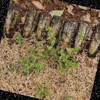 Dataset Image