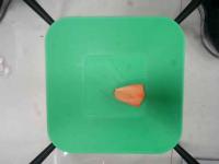 green_plate project thumbnail