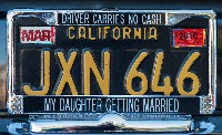 Car License Plate project thumbnail