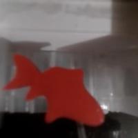 Fish AI project thumbnail
