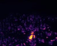 Infrared forest fire Object Detection Model by Workspace