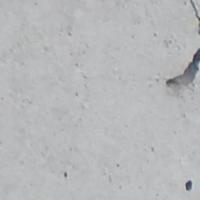 cracks detection project thumbnail