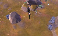 Dataset Image