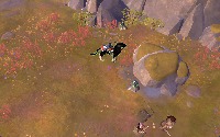 Dataset Image