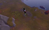 Dataset Image