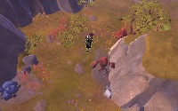 Dataset Image