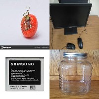 Dataset Image