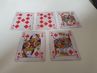 Dataset Image