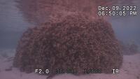 20221209_M1_2ev project thumbnail