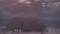 20250512_L1_3evm_m project thumbnail