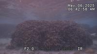 20250505_L1_1evm_m project thumbnail