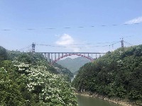 arch_bridge project thumbnail