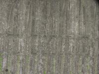 cotton project thumbnail