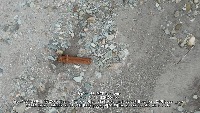 Object Detection project thumbnail