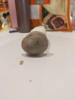 Mushroom project thumbnail