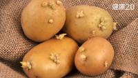 potatoes 3hbbr project thumbnail