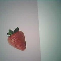 Strawberry Object Detection Model by ryu