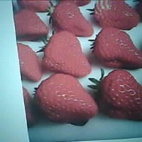 Strawberry Object Detection Model by ryu