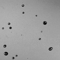 Droplet_Detection_HR_2_LR project thumbnail