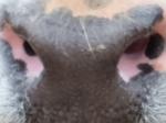 closemuzzles project thumbnail
