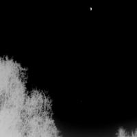 terö project thumbnail