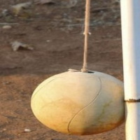 Ball Detection Object Detection Model by Prasanna Ravi JR