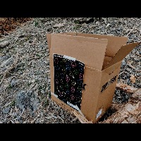 aa Object Detection Model by asd dwasd
