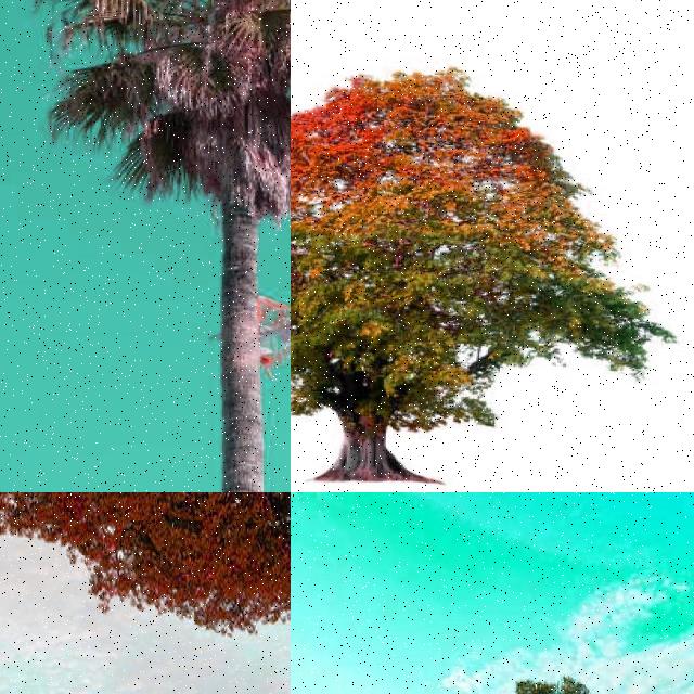existing-tree-aug Object Detection Dataset by Tree Detection