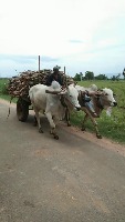 sugarcane vehicles project project thumbnail