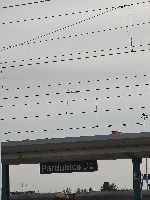 flying-objects project thumbnail