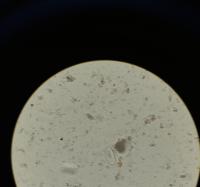 1_Tsagaan_khorkhoi project thumbnail