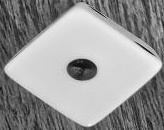 Detect And Classify Single-label Classification Classification Dataset ...