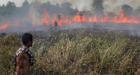 Forest fire project thumbnail