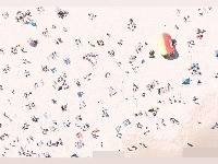 human detection  project thumbnail