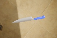 Dataset Image