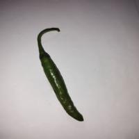 chili disease project thumbnail
