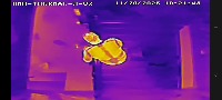 pig counter project thumbnail