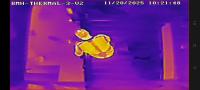 Find humans and thermal pigs project thumbnail