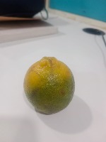 Fruit Classification project thumbnail