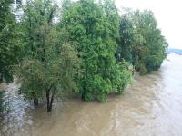 Rivers_flood project thumbnail