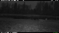 Red deer project thumbnail