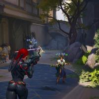 Dataset Image