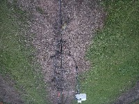 Muscadine_bud_detection_WL project thumbnail